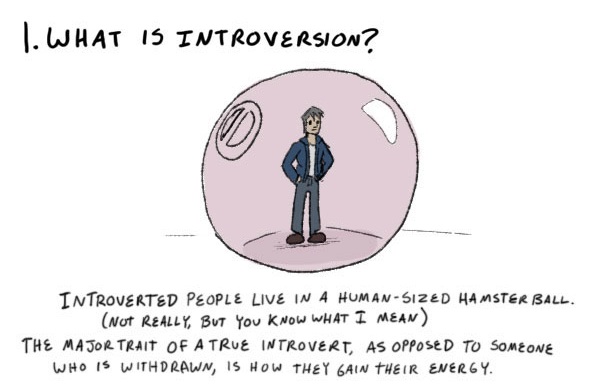 kaip gyventi su introvertu