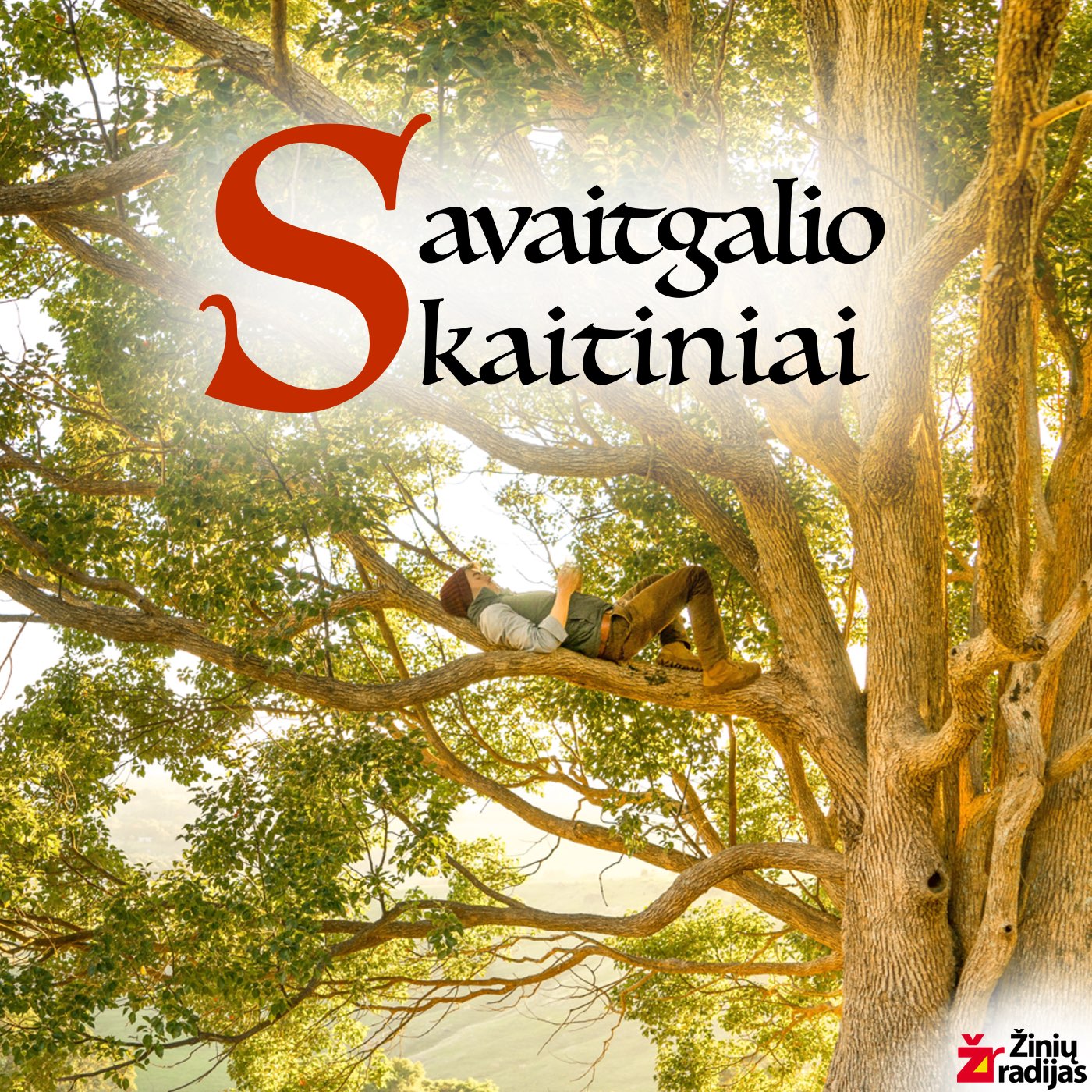 Savaitgalio Skaitiniai